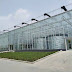 Hualiang Greenhouse