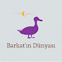 Barkatın Dünyası