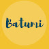 Batumi Investment