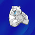 logo bear798