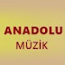 logo Anadolu Müzik Official