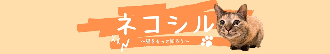 ネコシル〜猫をもっと知ろう〜