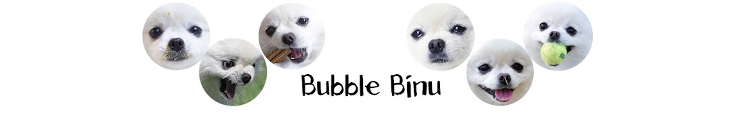 BubbleBinu