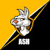 logo ASH Gaming