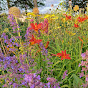 Yew Cottage Garden