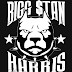 Bigg Stan's BSH TV