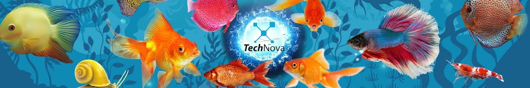 Tech Nova