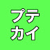 プロテニス解説チャンネル【プテカイ】