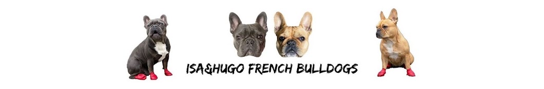 Isa, Hugo & Tom French Bulldog Banner