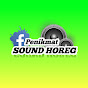 Penikmat Sound Horeg