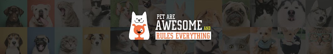 Life Funny Pets Banner