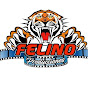 FELINO PRODUCCIONES OFICIAL