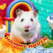 Hammy Haven