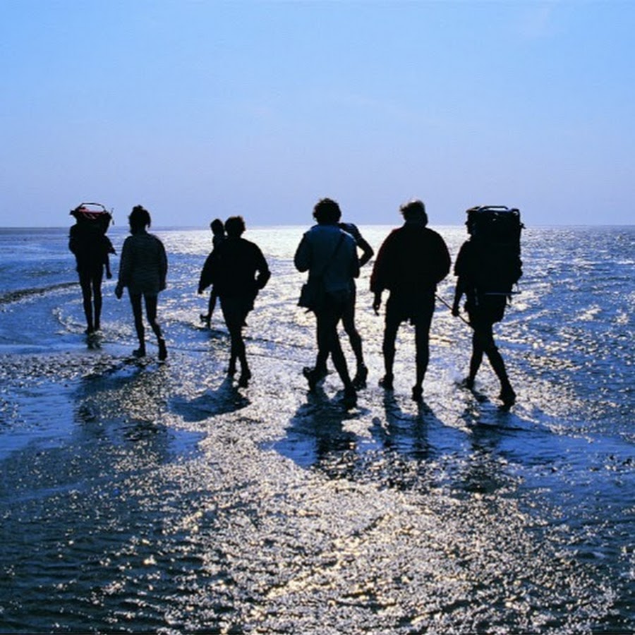 Три очень. Wadlopen. Mudflat.