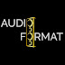 Audio Format