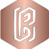 logo Briggz5d