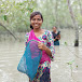 Sundarban Village Cooking