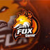 Fox_Gamer1201