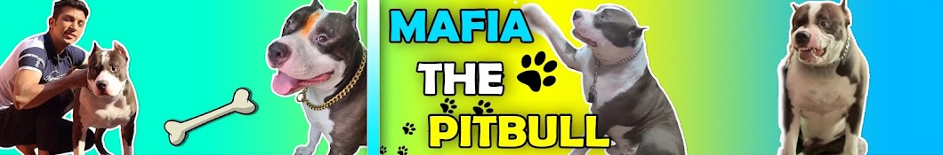 Mafia The PitBull  Banner