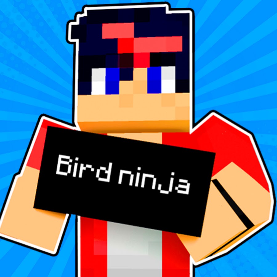 Bird Ninja @birdninjacraft