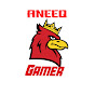 Aneeq Gamer
