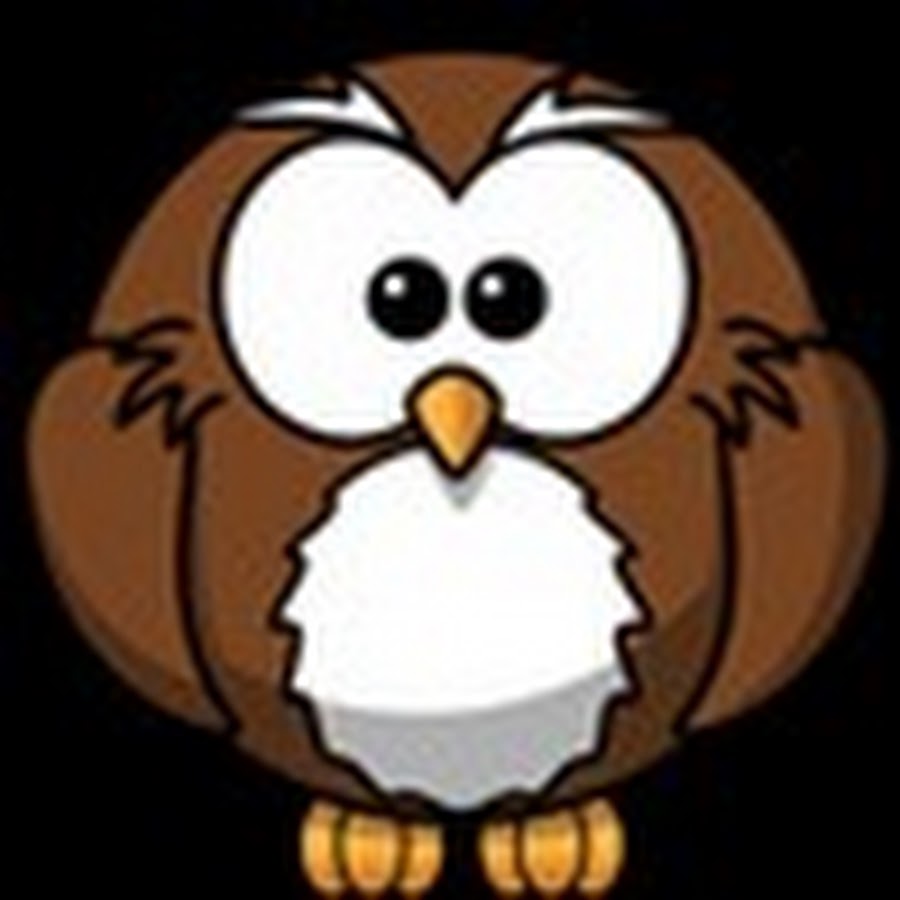 Owl tips 5 youtube