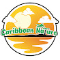 Caribbean Nature
