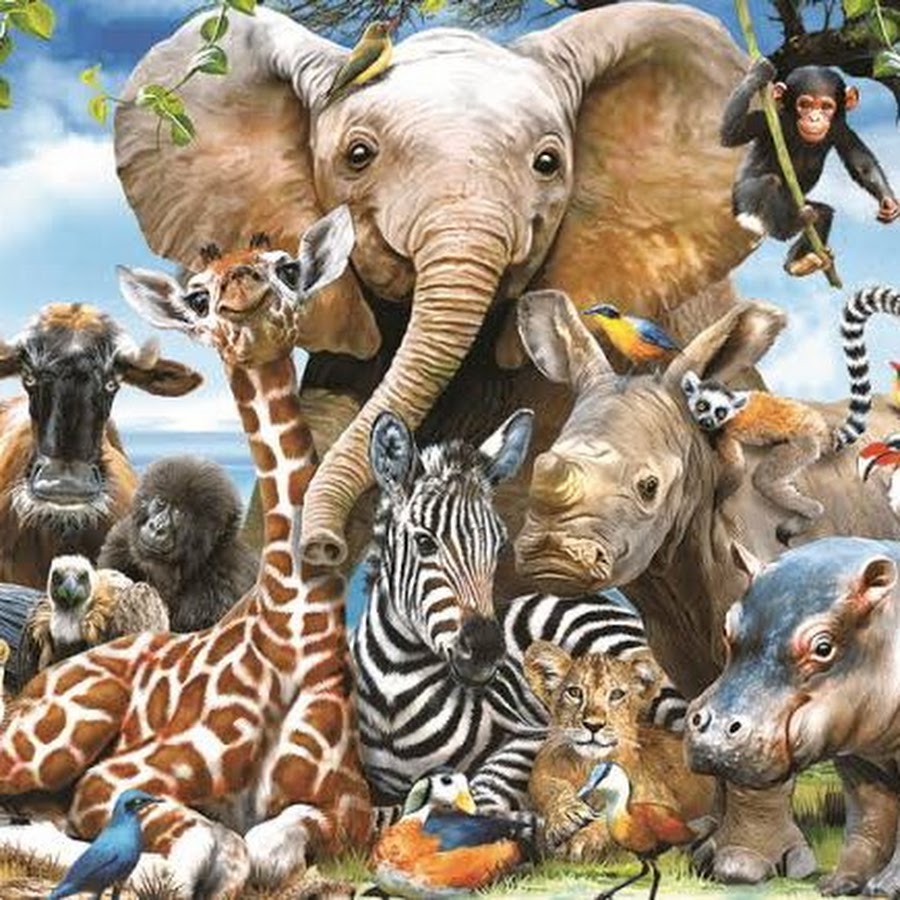 Где много звери. Много животных. Животные много на картинке. Иллюстрация куча животных. Звери нашей планеты.