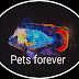 Pets forever