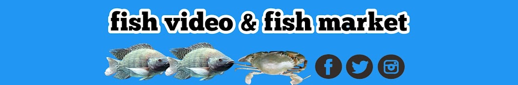 fishvideo & fishmarket 