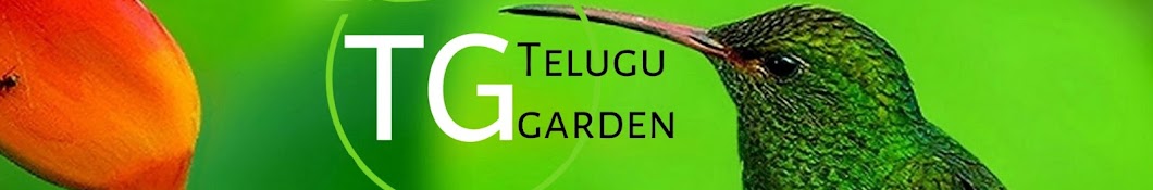 Telugu Garden