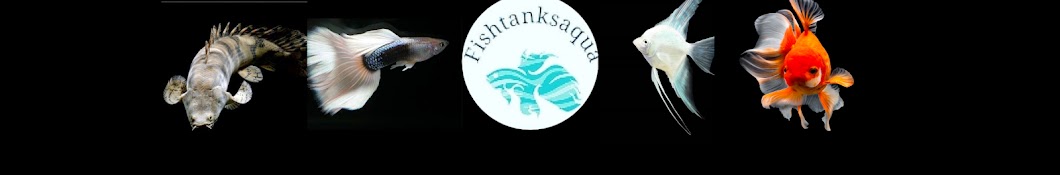 FishTanksAqua Official