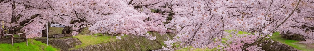 Kansai Walking Tour 4K