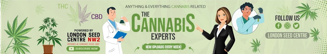 The Cannabis Experts Banner