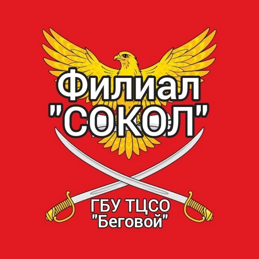 Беговой филиал сокол. ТЦСО беговой филиал Сокол. Сокол ГБУ. Соколов а а ГБУ.