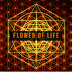 logo Flower of Life