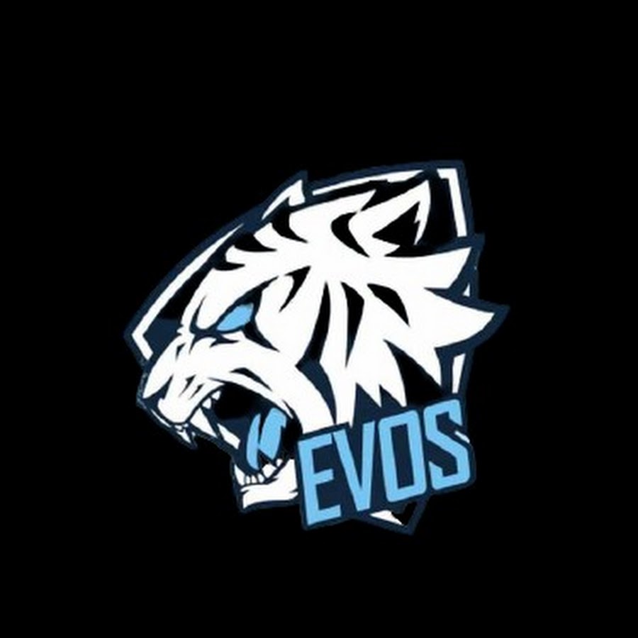 EVOS logo. Авы для Тимы. Логотипы команд. Киберспортивные логотипы.