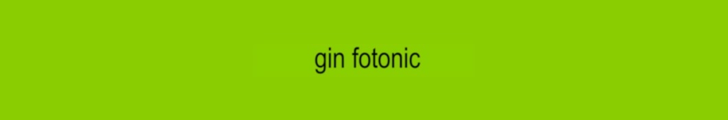 Gin Fotonic