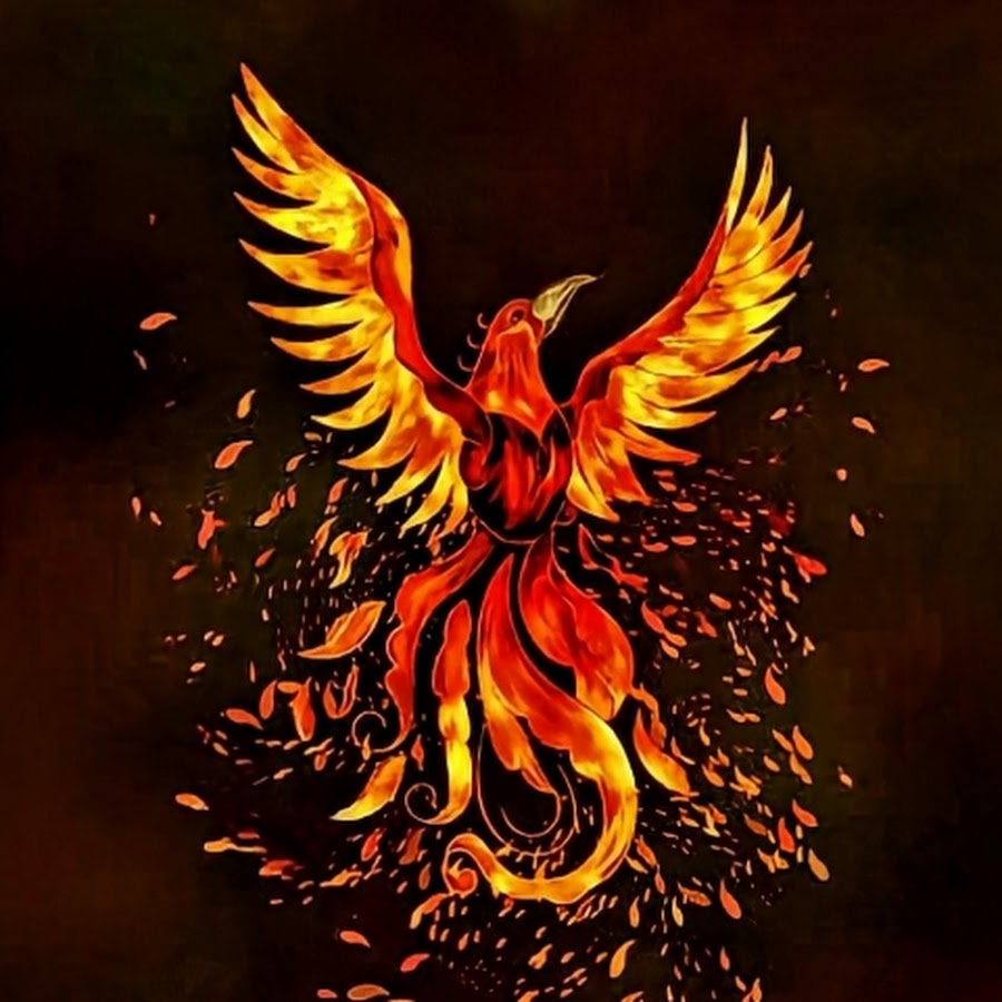 Phoenix Bird channel - YouTube