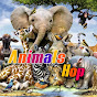 Animals Hop