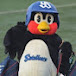 東京ヤクルトPチャンネル