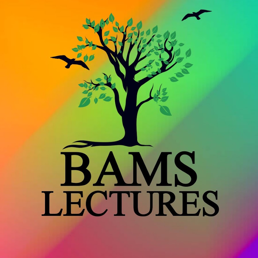 BAMS Lectures YouTube