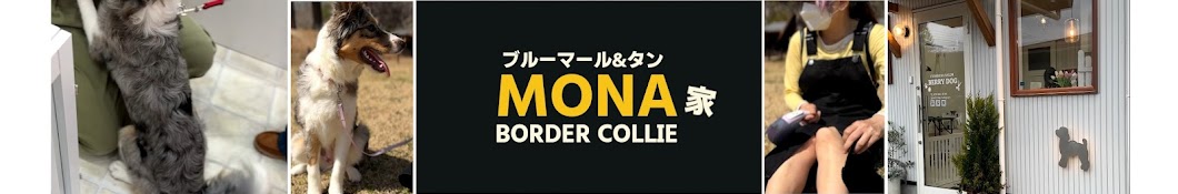 ボーダーコリーMONA家