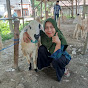 BOLO KAMBING