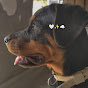 LAADO ROTTWEILER 