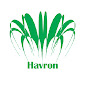 Havron eLearning Hub