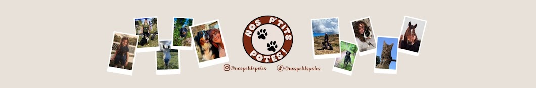 🐾 Nos P’tits Potes 🐾