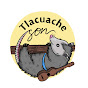 Tlacuache Son