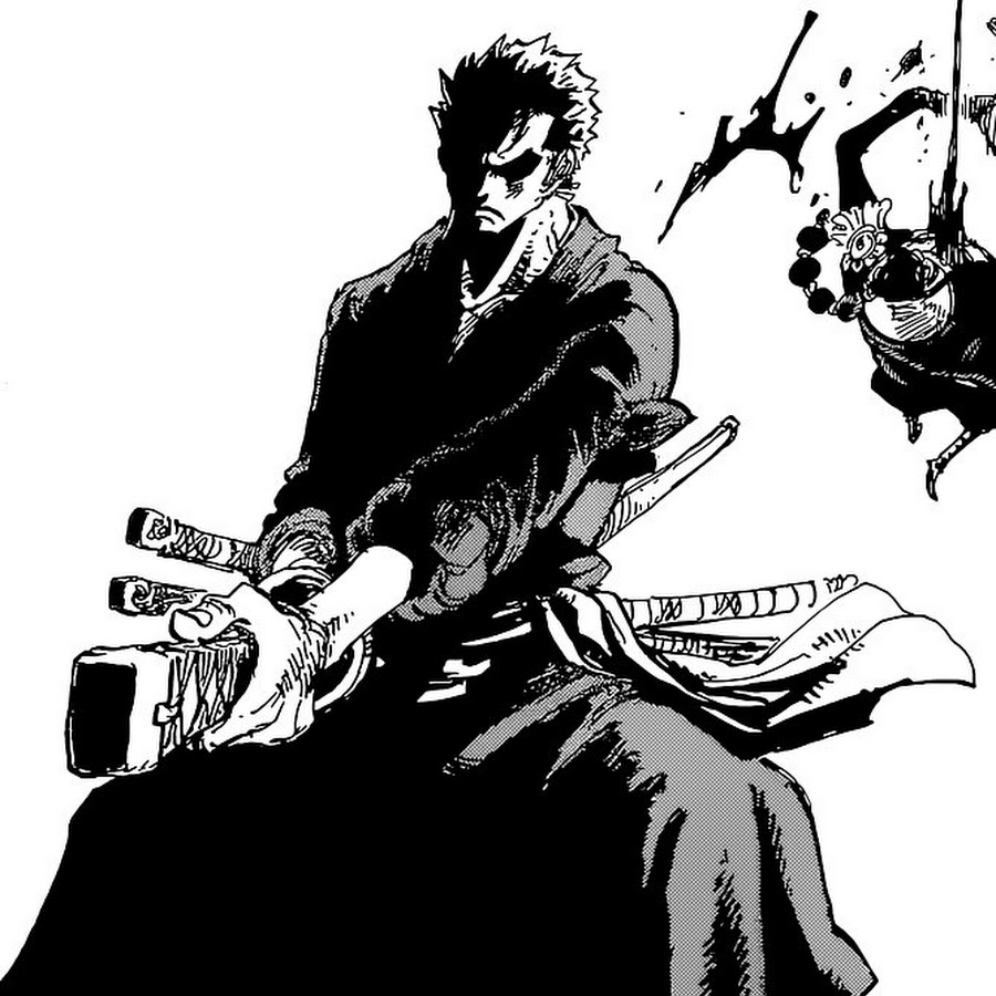 Zoro cuts apoo