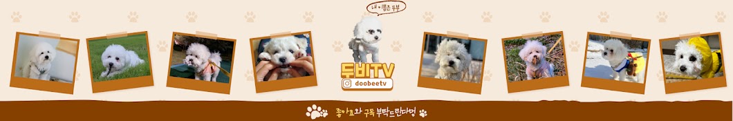 두비TV